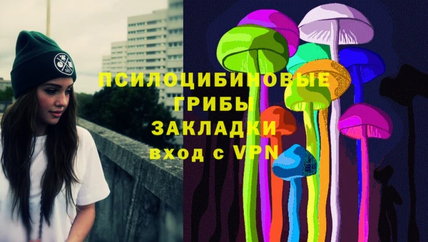 бошки Мегион