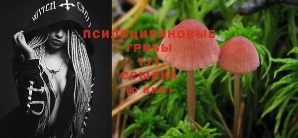 стафф Медвежьегорск