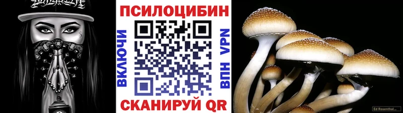 купить  цена  ОМГ ОМГ tor  Галлюциногенные грибы Psilocybine cubensis  Хасавюрт 