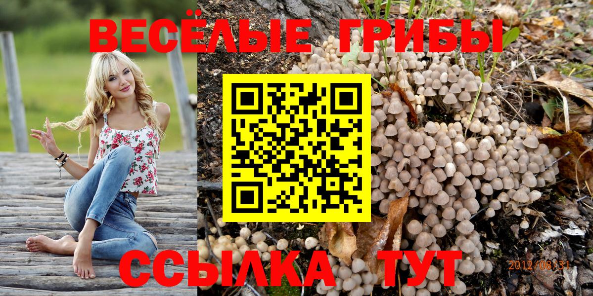Галлюциногенные грибы прущие грибы Хасавюрт