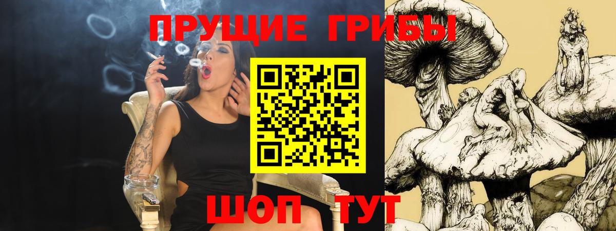 Хасавюрт  Псилоцибиновые грибы мицелий  Вход с VPN 